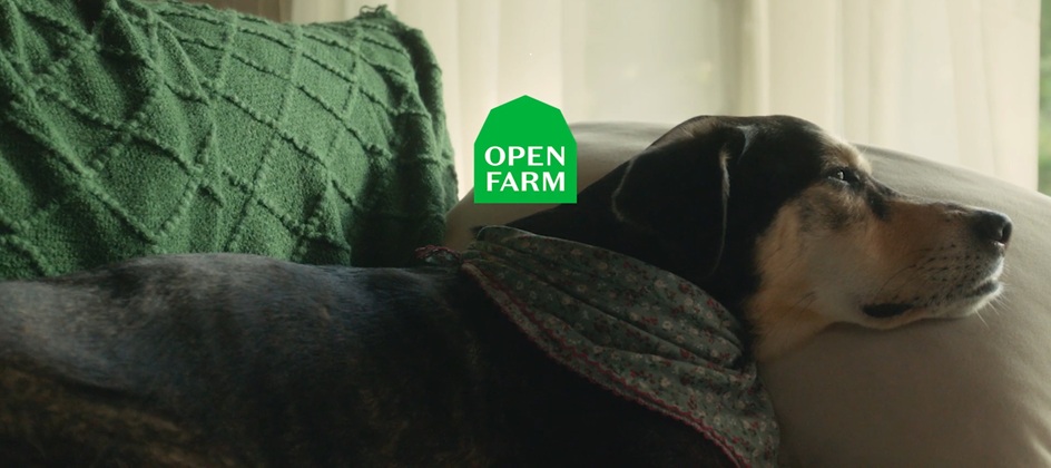Open Farm celebrates pet bonds in brand push